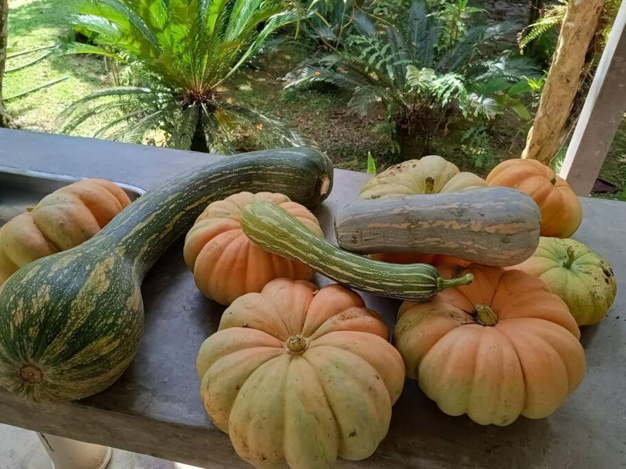 Sitio Paraiso Verde ジュクイチバ エクステリア 写真