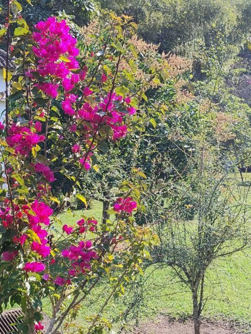 Sitio Paraiso Verde ジュクイチバ エクステリア 写真